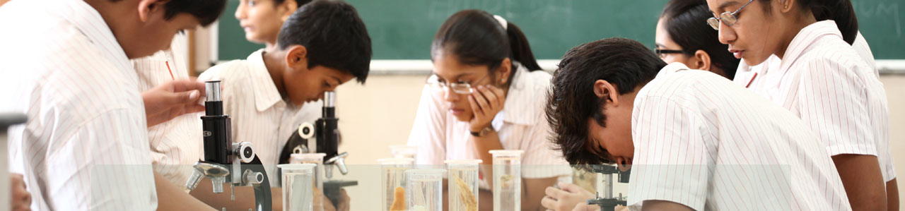 Maxfort Mission Banner